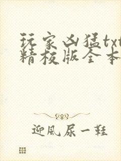 玩家凶猛txt精校版全本下载