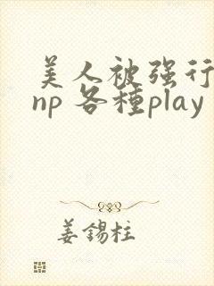 美人被强行糟蹋np 各种play