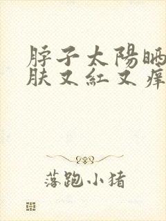 脖子太阳晒后皮肤又红又痒