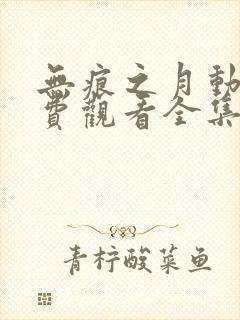 无痕之月动漫免费观看全集