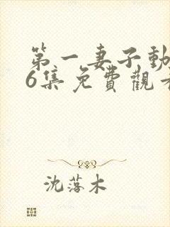 第一妻子动漫第6集免费观看全集