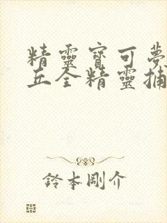 精灵宝可梦皮卡丘全精灵捕捉封面