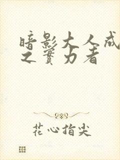 暗影大人成为影之实力者