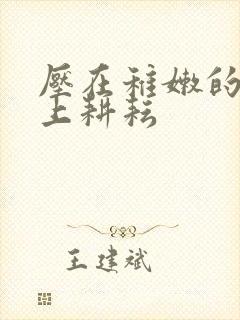 压在稚嫩的身体上耕耘