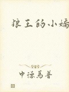 狼王的小娇妻