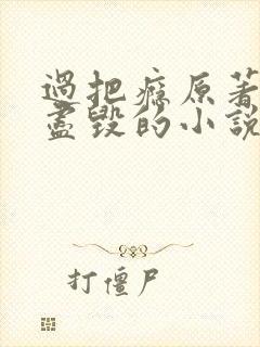 过把瘾原著三观尽毁的小说