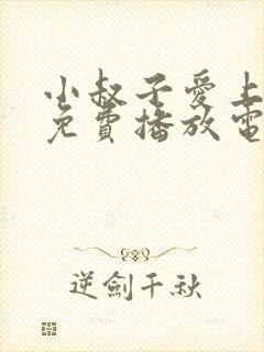 小叔子爱上嫂子免费播放电视剧中字封面