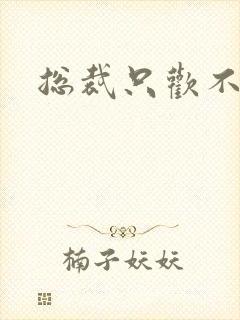 总裁只欢不爱封面