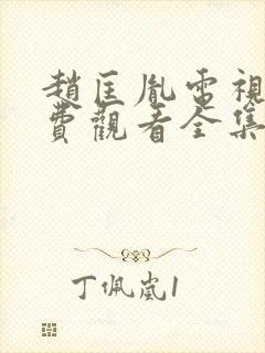 赵匡胤电视剧免费观看全集高清