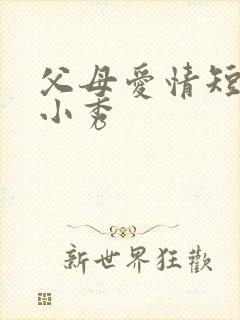 父母爱情短剧石小秀