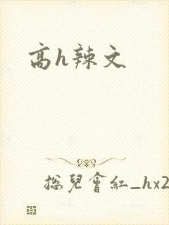 高h辣文