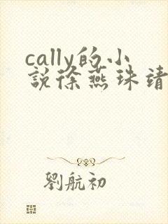 cally的小说徐燕珠靖王