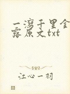 一泻千里金银花露原文txt