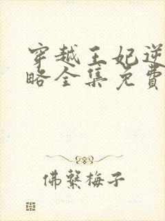 穿越王妃逆袭攻略全集免费看