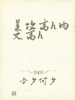 美攻高h肉多荤文高h封面