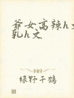 爷女高辣h文乱乳h文