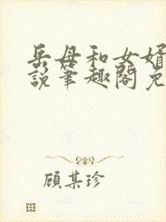 岳母和女婿的小说笔趣阁免费阅读全文无弹窗封面