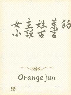 女主姓叶的穿越小说古言