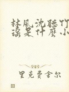 林风沈听竹陈贝瑶是什么小说封面