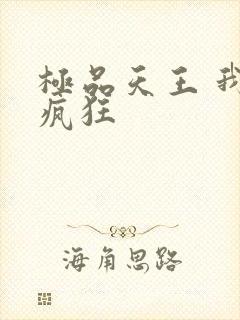 极品天王 我本疯狂