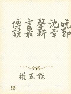 傅言声沈晚柔小说最新章节免费阅读