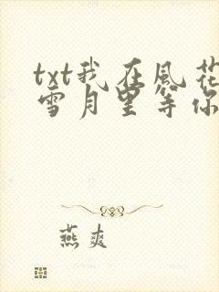 txt我在风花雪月里等你