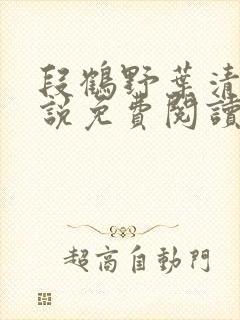 段鹤野叶清璃小说免费阅读最新章节封面