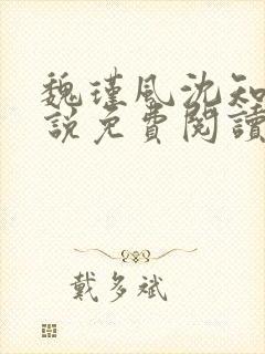 魏瑾风沈知玉小说免费阅读最新章节