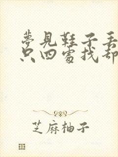 梦见鞋子丢了一只四处找却找不到