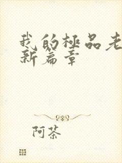 我的极品老婆最新篇章