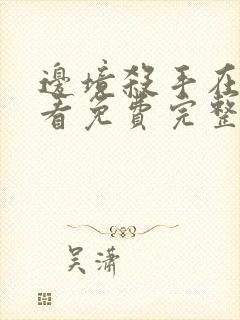 边境杀手在线观看免费完整版封面