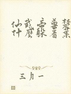 仙武帝尊楚萱为什么躲着叶辰