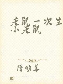 老鼠一次生几个小老鼠