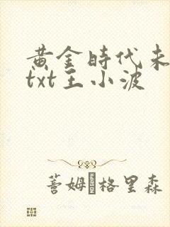 黄金时代未删减txt王小波封面