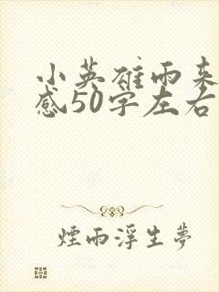 小英雄雨来读后感50字左右