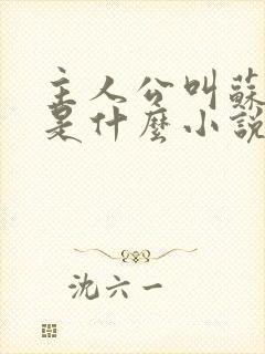 主人公叫苏洛的是什么小说封面