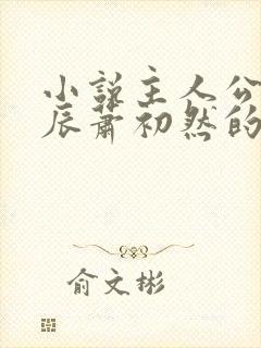 小说主人公叫叶辰萧初然的小说名