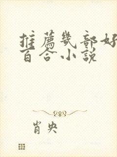 推荐几部好看的百合小说封面