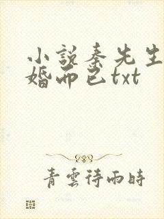 小说秦先生,闪婚而已txt封面