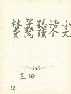 林曼孙浩小说免费阅读全文最新章节