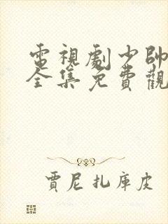 电视剧少帅48全集免费观看第一季封面