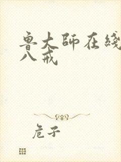 鲁大师在线八戒八戒