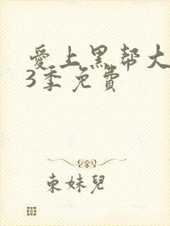 爱上黑帮大佬第3季免费