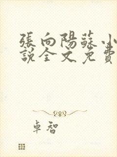 张向阳苏小棠小说全文免费阅读笔趣阁