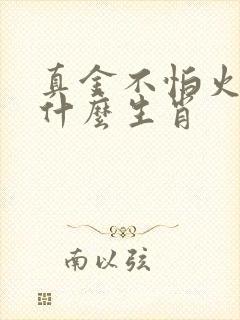 真金不怕火炼指什么生肖封面