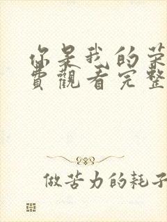 你是我的荣耀免费观看完整版流畅