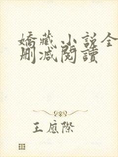 娇藏小说全文无删减阅读封面