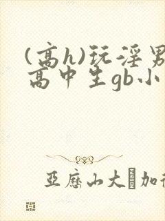 (高h)玩淫男高中生gb小说