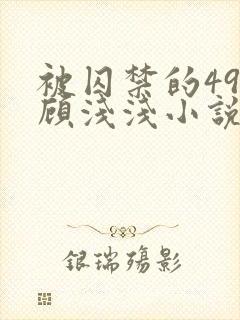 被囚禁的49天顾浅浅小说全文阅读无弹窗封面