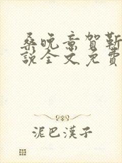 桑晚意贺靳川小说全文免费阅读